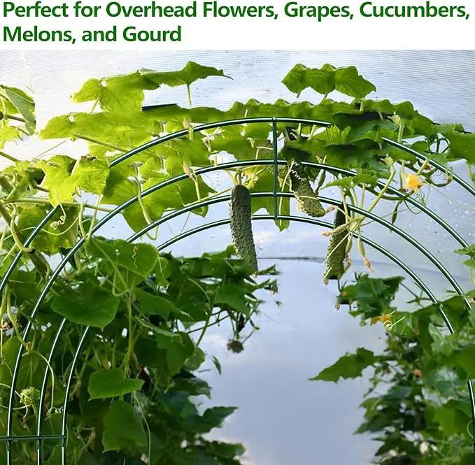 Large Garden Support Arch Frame for Climbing Plants, 9.85 x 7.05 x 7.22 ft Heavy Duty Plant Climbing Arbor Arch, Multi-Purpose Support Frame for Vines, Weddings & Backyard Decoration by GreenHaven Gardens