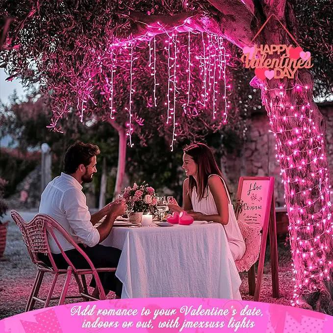 JMEXSUSS 66 Ft Pink Lights for Room Decor, 200 LED Pink String Fairy Christmas Lights Clear Wire Plug in for Bedroom Indoor Outdoor Girl's Room Decorations by GreenHaven Gardens