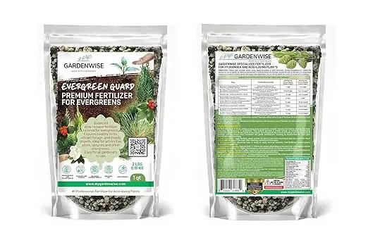 Evergreen Fertilizer – All-Purpose Granular Plant Food for Outdoor Trees and Shrubs, Azaleas, Magnolias, Pines & Arborvitae – Slow-Release Formula (5 quarts) by GreenHaven Gardens