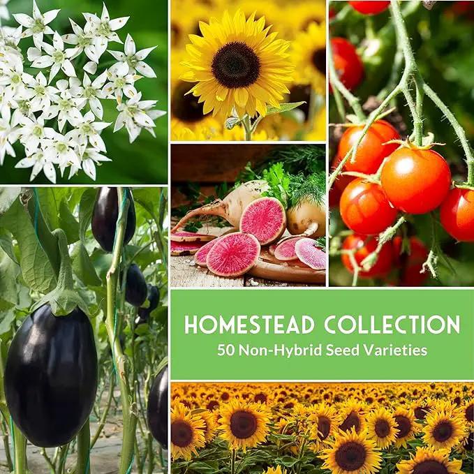 Survival Garden Seeds Homesteader Collection - 50 Packs Non-GMO Heirloom Vegetable, Fruit, Herb Seed Varieties for Growing a Victory Garden - Plant & Grow Survival Food - Emergency Preparedness Gear by GreenHaven Gardens