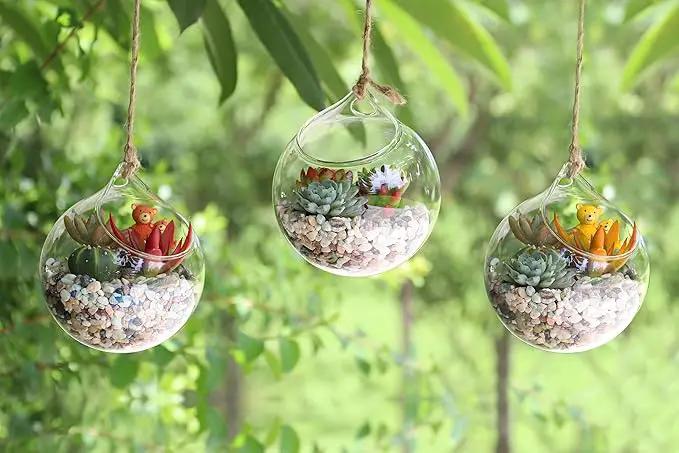 Ivolador Hanging Planter Glass Terrarium Container Air Plant Holder Succulents Globe Shape Home Garden Decor-4.7 Inches-3PCS by GreenHaven Gardens