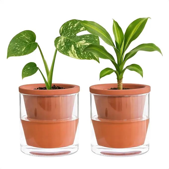 D'vine Dev 4 Inch Design Self Watering Pot for Indoor Plants, Terracotta Planter with Cylinder Glass Cup, Set of 2, 37-Y-A-1 by GreenHaven Gardens