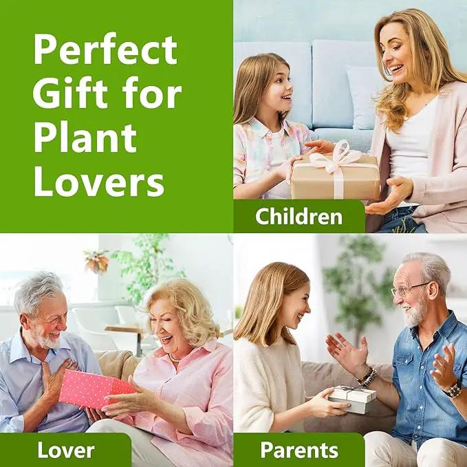 Bonsai Tree Kit, Bonsai Starter Kit with 4 Bonsai Tree Seeds, Tools & Planters, Bonsai Tree Live Plants Indoor, Gardening Gifts for Women Men Mom Father Plant Lover, Unique Christmas Gifts by GreenHaven Gardens