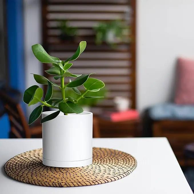 D'vine Dev 2 Pack 4.5 Inch Modern Plastic Plant Pots, Small Garden Planters for Plant with Drainage Holes and Saucers, White Color, 74-Z-F-1 by GreenHaven Gardens