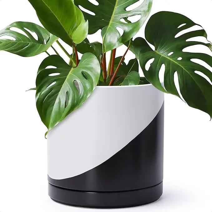 D'vine Dev 12 Inch Ceramic Planter Pot with Drainage Hole and Saucer, Indoor Cylinder Round Planter Pot, Oblique Monochrome Black and White, 94-O-F-K by GreenHaven Gardens