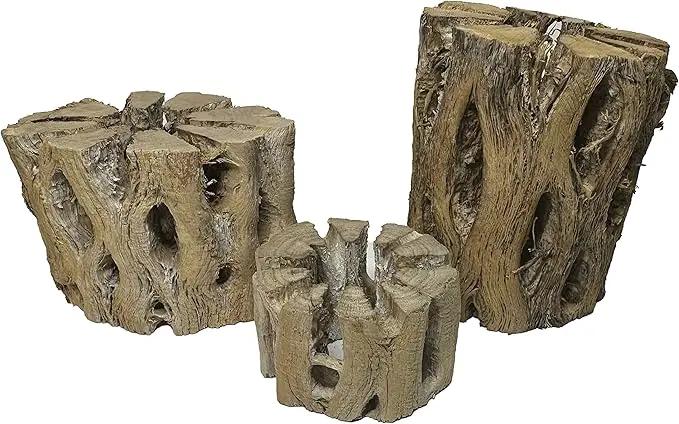 3 Natural Cholla Wood Air Plant Display Holders Tiered 1, 2 & 3 inch Individually Unique Round Decorative Stands by GreenHaven Gardens