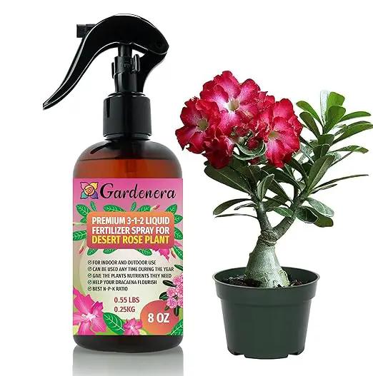 Proffesional Desert Rose Spray Fertilizer Mist for Home Gardening | 3-1-2 Gentle Blend Mist for Healthy Leaves & Growth | Essential Nutrients for Desert Rose - 8oz by GreenHaven Gardens
