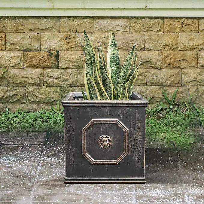 Kante Square Lion Head Concrete Planter, Classic English Style Plant Pot with Drainage Hole and Rubber Plug for Indoor Outdoor Garden Patio Home, 12.6"x12.6"x12.6" Oil Rubbed Bronze by GreenHaven Gardens