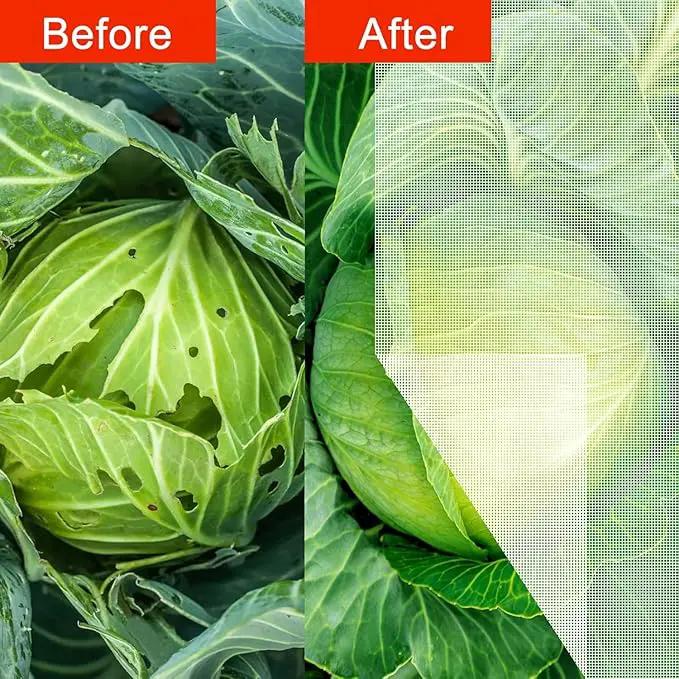 Agfabric Garden Netting 6.5'x49' Barrier Net, Bird Netting for Garden Trees Vegetable and Plants, White by GreenHaven Gardens