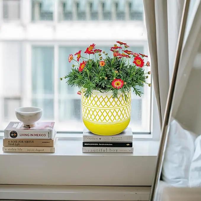 Ceramic Plant Pots, 6 + 4.7 inch Yellow Plant Pot, Flower Pots for Indoor Plants， Planter with Drainage Hole for Succulent Orchid Snake Plants Cactus by GreenHaven Gardens