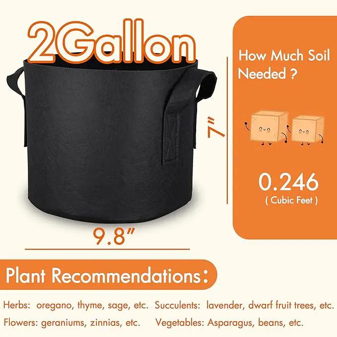 Gardzen 10-Pack 2 Gallon Grow Bags, Aeration Fabric Pots with Handles, Heavy Duty Cloth Pots for Plants by GreenHaven Gardens
