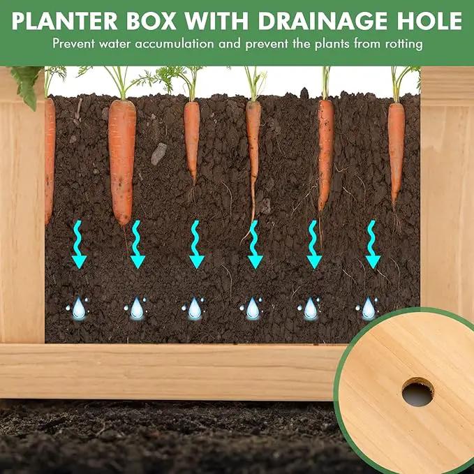 GRAFFY Raised Garden Bed, Folding Wood Planter Box w/Removable Bottom & Drainage, Elevated Planter for Flower Herb Vegetable Fruit, Plant Container for Grass Lawn Patio Backyard (27.5"D x 12"W x 10"H) by GreenHaven Gardens