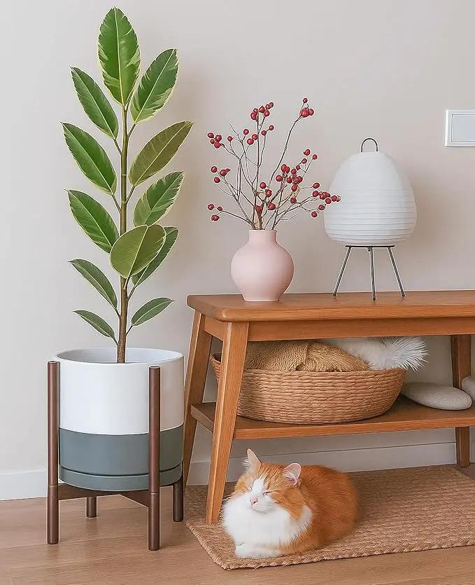 D'vine Dev Ceramic Planter with Walnut Color Stand - 12 Inch Modern Round Flower Pot with Wood Planter Holder, White/Grey, 55-B-W-6 by GreenHaven Gardens