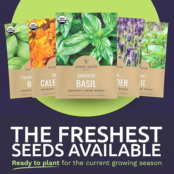 Organic Herb Seeds Variety Pack - 35 Individual Packs - 2025 Season - Basil, Cilantro, Dill, Thyme, Parsley and More! for Indoor & Outdoor Planting (Non-GMO, Certified Organic) by GreenHaven Gardens