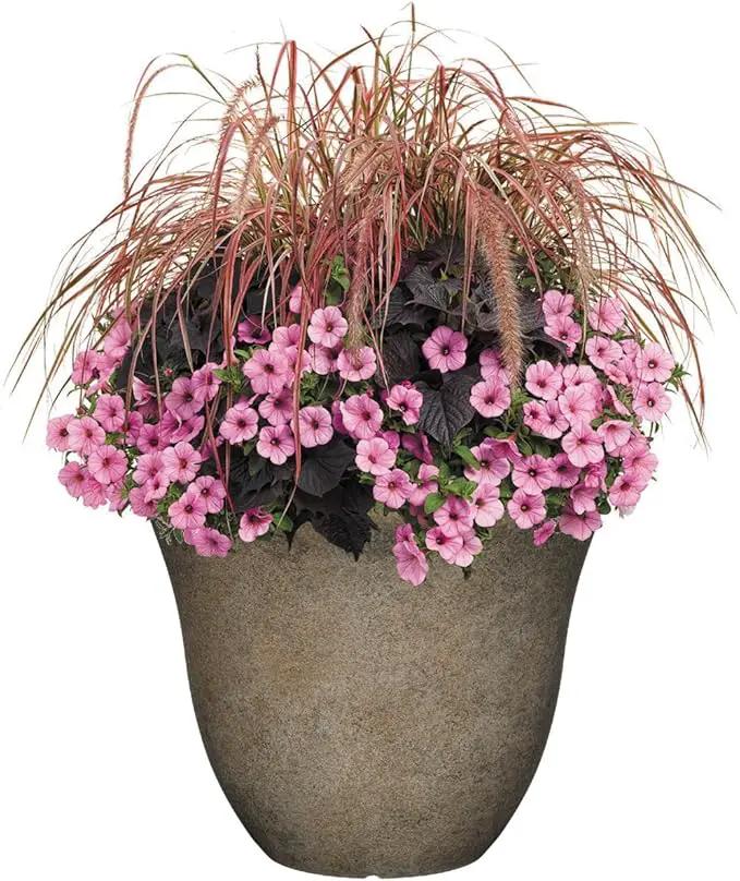 Classic Home and Garden Honeysuckle Resin Flower Pot Planter, Fossil Stone, 15" (Pack of 2) by GreenHaven Gardens