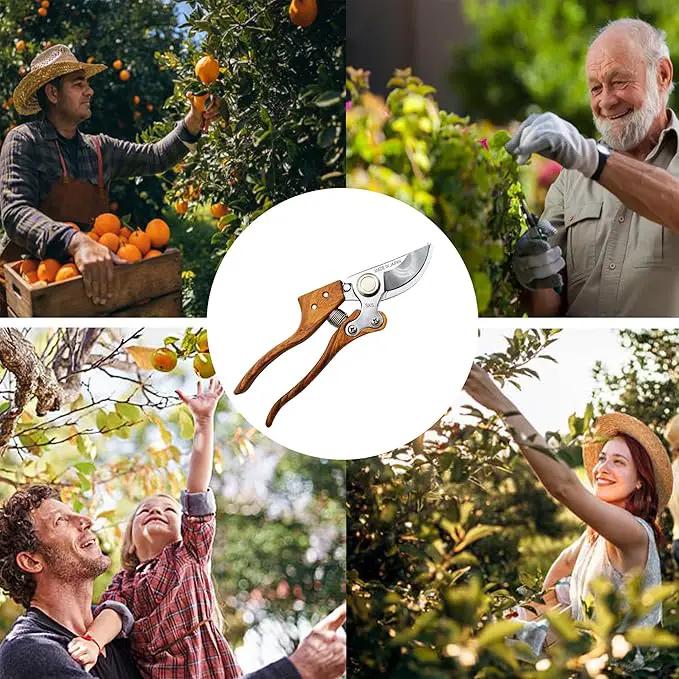 TONMA Bypass Pruning Shears [Made in Japan] 8 inches Professional Garden Shears, Japanese Secateurs Hand Pruner Hedge Clippers, Aluminum Alloy Handle by GreenHaven Gardens