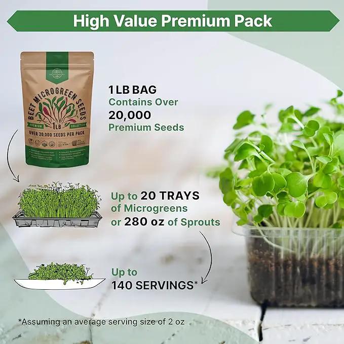 Organo Republic Beet Sprouting & Microgreens Seeds - 20,000 Non GMO Heirloom Seeds, Sprouts in Bulk 1lb Resealable Bag for Planting and Growing in Soil, Coconut Coir, Aeroponic & Hydroponic System by GreenHaven Gardens