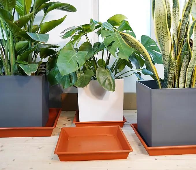 Square Plant Saucer 20 Inch 2 Pack, Large Plant Trays for Pots Heavy Duty Plastic Plant Saucers for Indoors Outdoors, Flower Pot No Holes Terracotta Plant Lover Gardening Gifts by GreenHaven Gardens
