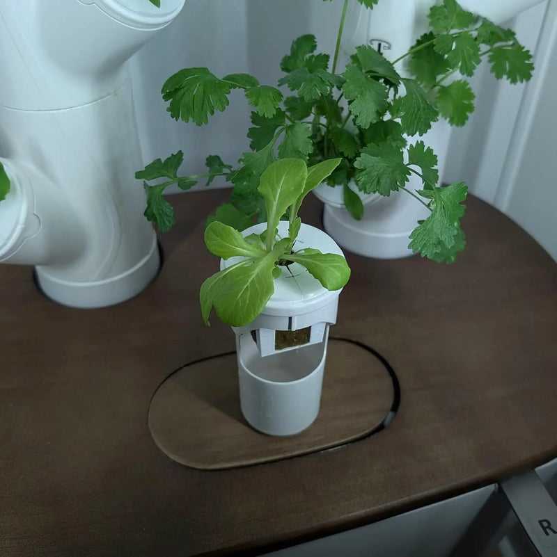 Grow Cubes for Hydroponic System/Compatible with Gardyn (15 Cubes+Rockwool) by GreenHaven Gardens
