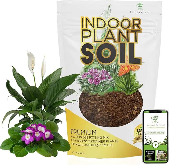 Indoor Plant Soil Premium All Purpose Blend | Large 2.2 Quarts | Ready to Use for Indoor Container and Houseplants | Peat, Coco Coir, Perlite, Dolomite | Made in USA by GreenHaven Gardens