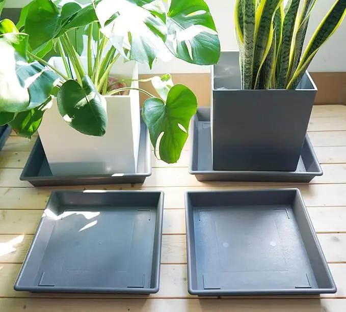 Square Plant Saucer 8 Inch 5 Pack, Plant Stand Plant Trays for Pots Heavy Duty Plastic Gray Plant Saucers for Indoors Outdoors, Flower Pot No Holes Plant Lover Gardening Gifts by GreenHaven Gardens
