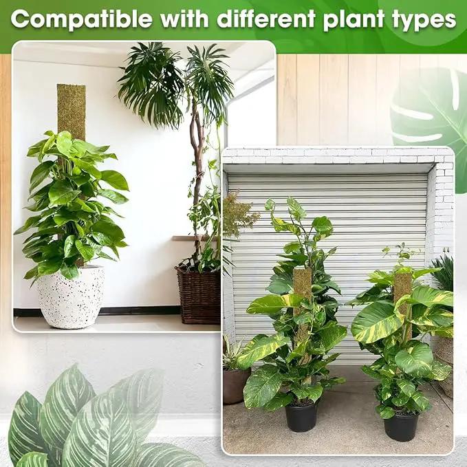 DUSPRO 59’’ Flat Mesh Moss Poles for Climbing Plants Monstera Flat Stacks for Tall Plant with Real Moss Moss Pole for Indoor Plants Plant Stick Support Tall Indoor Plants Support Stakes (1pc., 59'') by GreenHaven Gardens