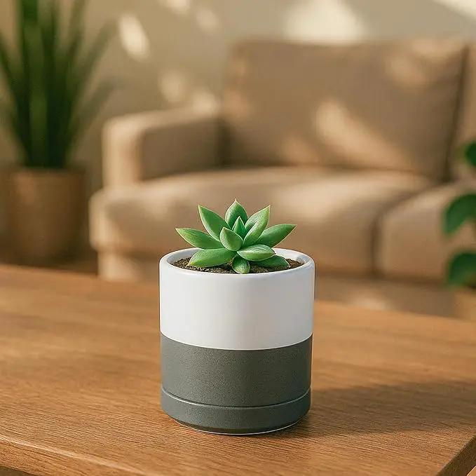 D'vine Dev 3.5 Inch Ceramic Planter Pot with Drainage Hole and Saucer, Indoor Cylinder Round Planter Pot, White/Speckled Grey, 94-O-A-6 by GreenHaven Gardens