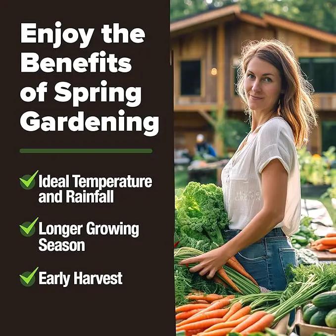 HOME GROWN 6000 Vegetable Seeds for Planting: 12 Spring Varieties of Garden Vegetables in Seed Packets, Garden Seeds for Garden Plants or Hydroponic Seeds - Heirloom Seeds - Non GMO by GreenHaven Gardens