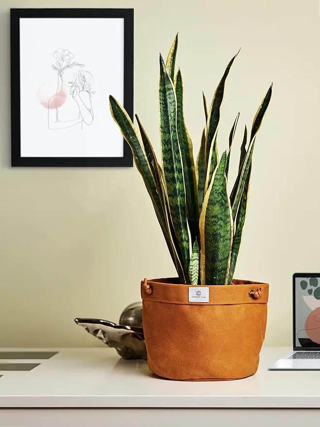 Large Waxed Canvas Handmade Hanging Planter for Indoor/Outdoor Plants, Hanging Basket Plant Holder Dijon Yellow by GreenHaven Gardens