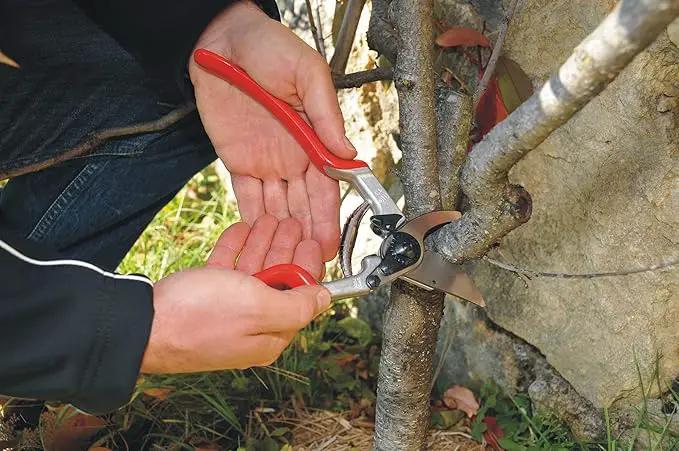 Felco F-13 Pruning Shears – 10.6" Garden Clippers with Dual-Hand Use & 30mm Cut | Hand Pruners for Gardening | Garden Tool Cutter with Bypass & Anvil Blades, Forged Aluminum Handle, Large Hand Fit by GreenHaven Gardens