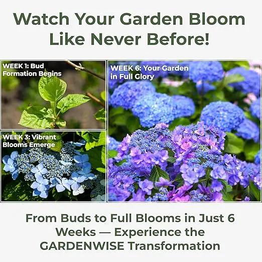Slow Release Hydrangea Fertilizer with Iron & Sulfur – Indoor & Outdoor Soil Acidifier for Miracle Growth (1/2 qt) by GreenHaven Gardens