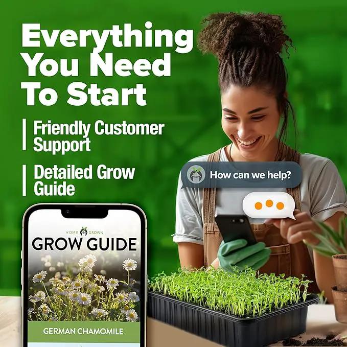 HOME GROWN 𝗨𝗦𝗔 𝗣𝗥𝗘𝗠𝗜𝗨𝗠 German Chamomile Seed Pack – 2,280 𝗡𝗢𝗡-𝗚𝗠𝗢 Heirloom Seeds for Planting for Sustainable Gardens and Soothing Medicinal Herbal Teas (Matricaria chamomilla) by GreenHaven Gardens