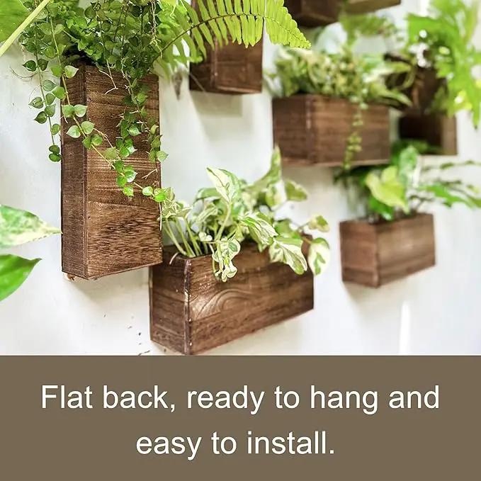 LaLaGreen Wood Planter Box for Plants (4 Pack) Wooden Hanging Wall Planters for Indoor Plant Holder Vase for Dried Flowers, Modern Living Room Bedroom Kitchen Home Office Decor by GreenHaven Gardens