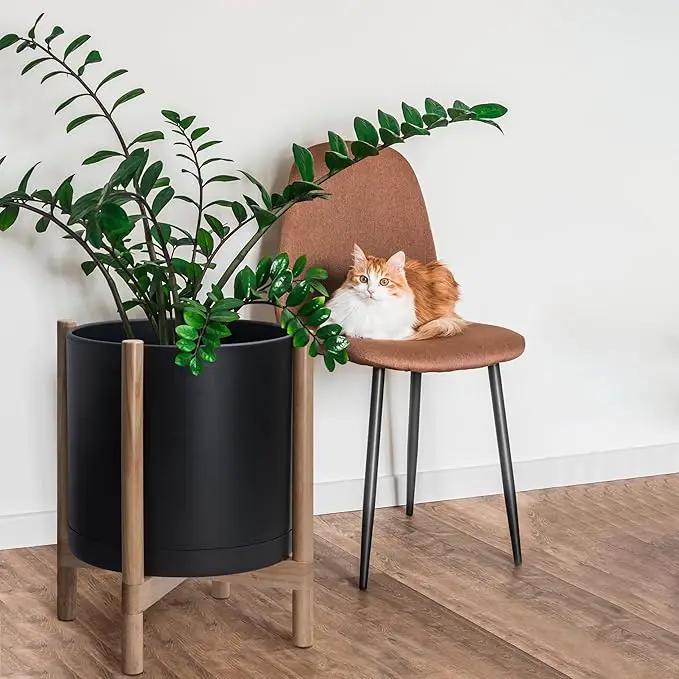 D'vine Dev Planter Pot with Stand - 16 Inch Plastic Cylinder Flower Pot with Wood Planter Holder for Indoor, Matte Black Pot + Natural Stand, 55-C-Y-2 by GreenHaven Gardens
