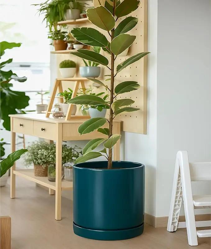 D'vine Dev 14 Inch Ceramic Planter Pot with Drainage Hole and Saucer, Indoor Cylinder Round Planter Pot, Teal, 94-O-G-9 by GreenHaven Gardens