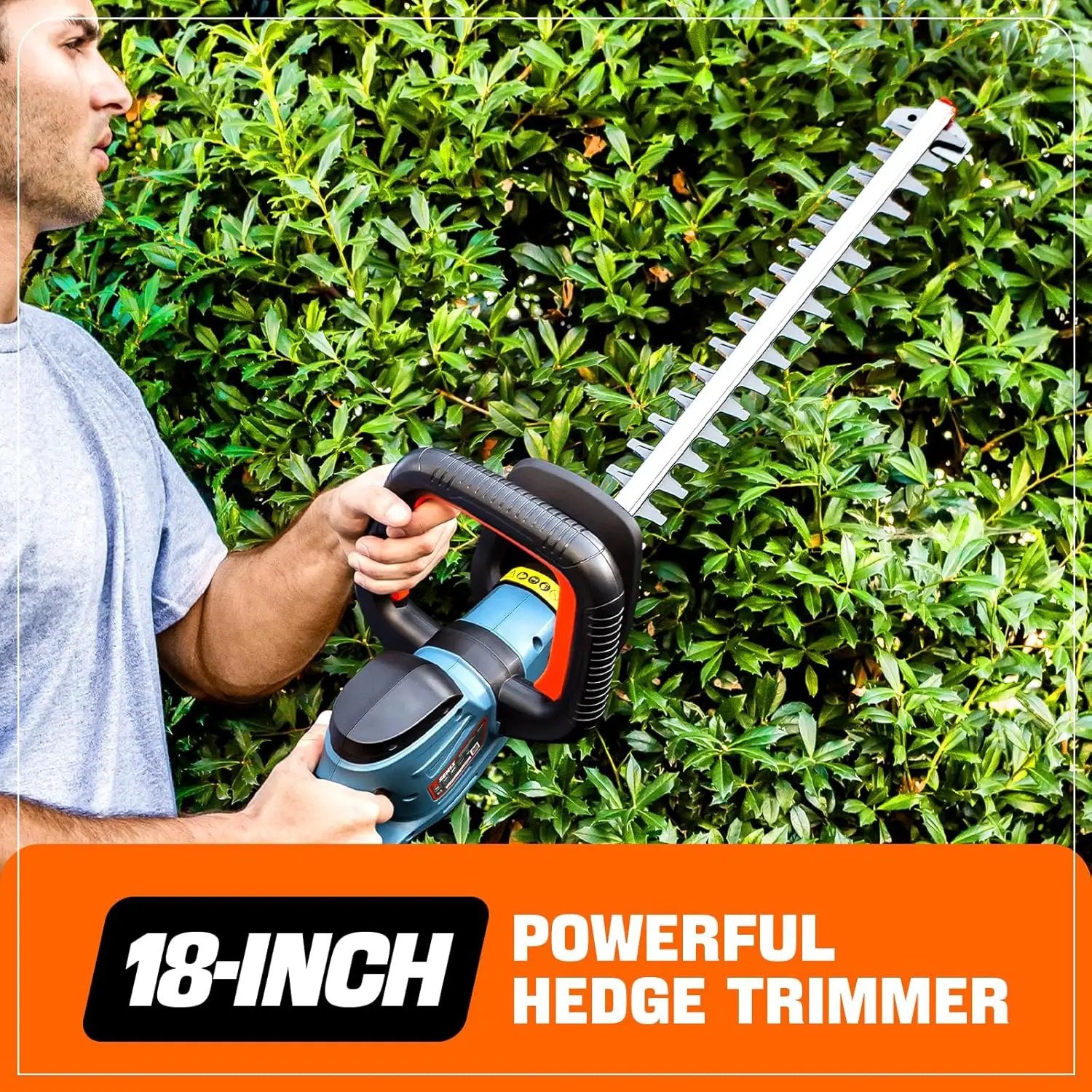 SENIX X2 20 Volt Max* 18-Inch Battery Powered Cordless Hedge Trimmer, Brushless Motor, Double-Sided Dual Action Blades, 3/4" Cutting Capacity, Includes Blade Cover, 2.5 Ah Battery & Charger (HTX2-M) by GreenHaven Gardens