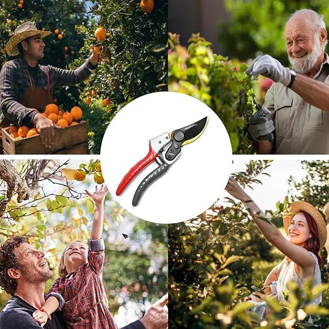 TONMA Bypass Pruning Shears [Made in Japan] 8 Inch Heavy Duty Garden Shears for Gardening, Professional Hand Pruners Garden Clippers with Japanese SK4 Steel Blades, Ergonomic Non-Slip Grip by GreenHaven Gardens