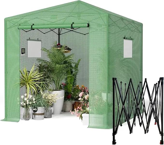 Pop Up Greenhouse 8x12FT, Pop Up Green House for Outdoors, Portable Greenhouses, Walk-in Greenhouses, Popup Greenhouse Kit, Easy Set Up by GreenHaven Gardens