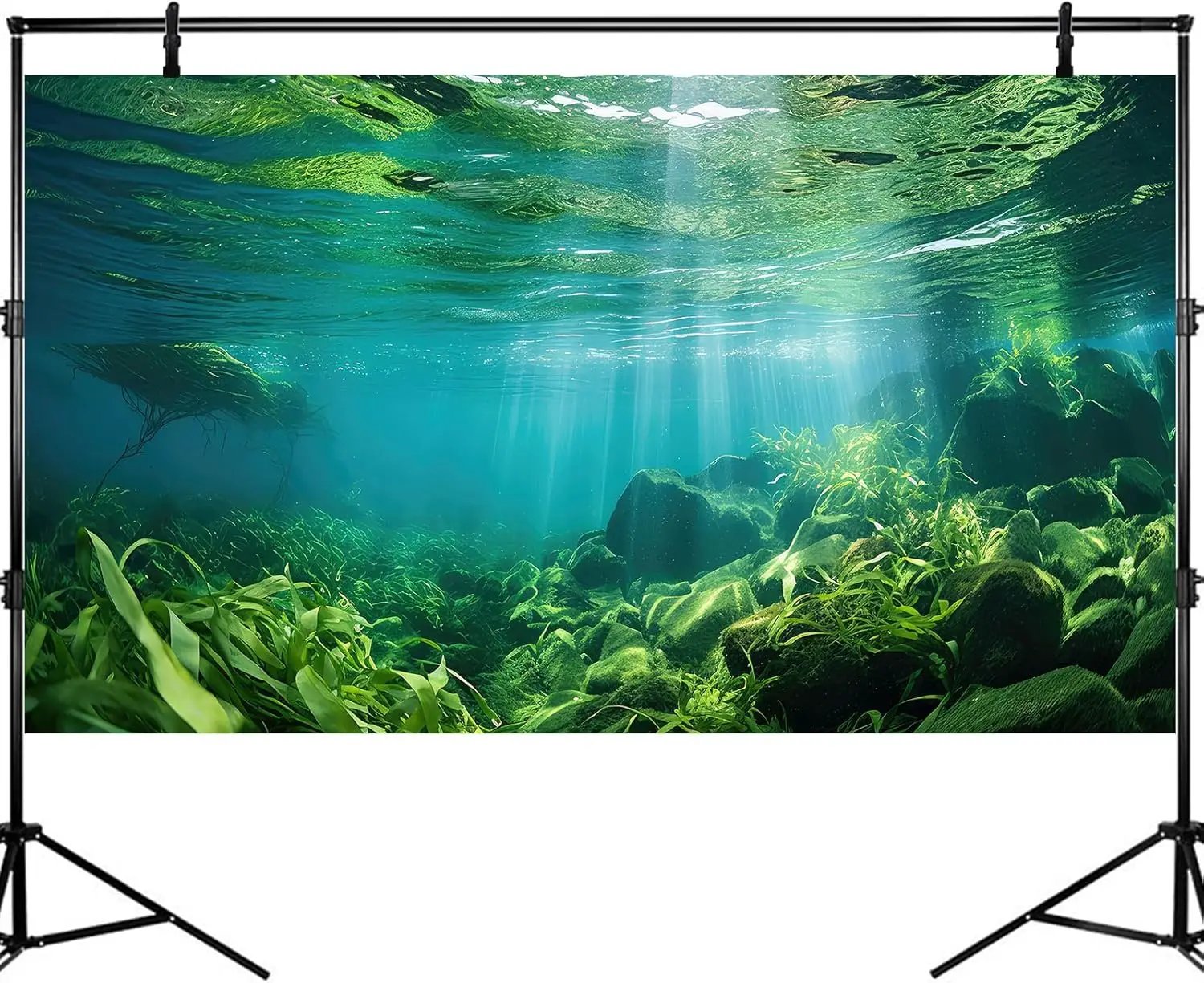 Under The Sea Fish Tank Background Aquatic Plants Deep Sea Aquarium Background Underwater Sunray Rock with Moss Terrarium Backgrounds Deep Ocean Floor Tropical Fish Tank Backgrounds 60x24in by GreenHaven Gardens