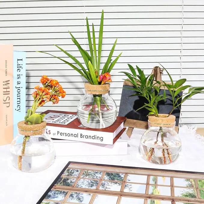 Plant Propagation Station,Hydroponic Terrarium Vase,Desktop Glass Planter Station,for Houses,Garden Decorations,ropagating Hydroponic Plants,Centerpiece Office,Home Garden Decor (2) by GreenHaven Gardens
