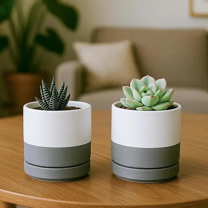 D'vine Dev Set of 2 Plants Pots, 3.5 Inch Ceramic Planter Pot for Plants with Drainage Hole and Saucer, White/Speckled Grey, 94-V-A-6 by GreenHaven Gardens