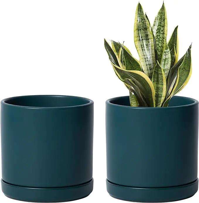 D'vine Dev Set of 2 Plants Pots, 6 Inch Ceramic Planter Pot for Plants with Drainage Hole and Saucer, Teal, 94-V-C-9 by GreenHaven Gardens