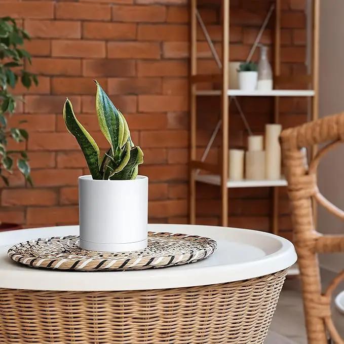 D'vine Dev 2 Pack 6 Inch Modern Plastic Plant Pots, Small Garden Planters for Plant with Drainage Holes and Saucers, White Color, 74-Z-J-1 by GreenHaven Gardens