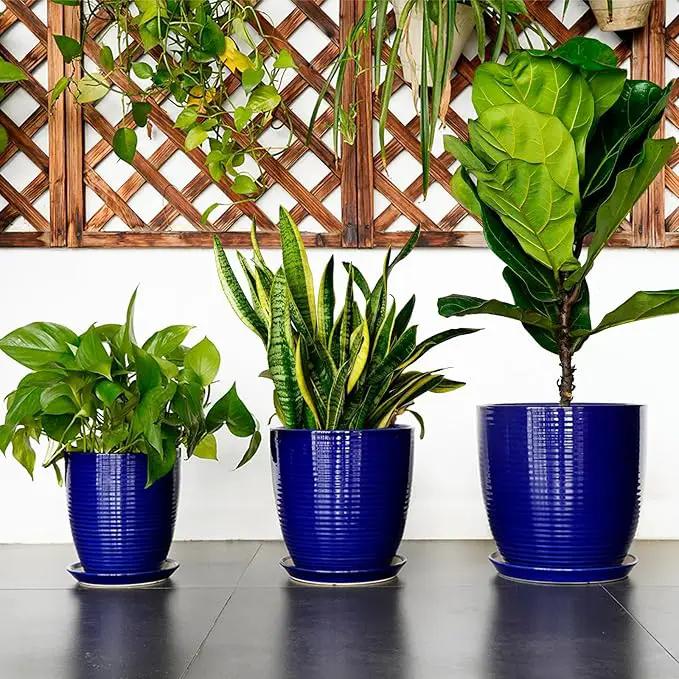Ceramic Planter Pot - 8 Inch Plant Pot with Drainage Hole and Tray Round Planter Modern Flower Pot for Indoor Outdoor Plants Decorative Garden Pot Blue by GreenHaven Gardens