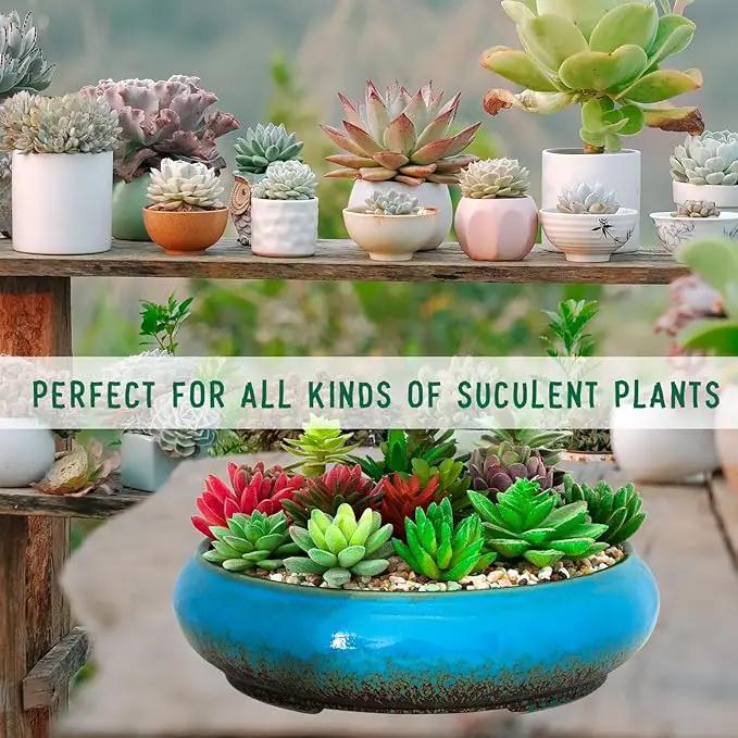 Succulent Pots - 11.5 Inch Ceramic Bonsai Pots with Drainage, Large Shallow Succulent Planters for Indoor Outdoor Plants, Round Glazed Cactus Flower Plant Container Bowl Home Desk Decor(Blue) by GreenHaven Gardens