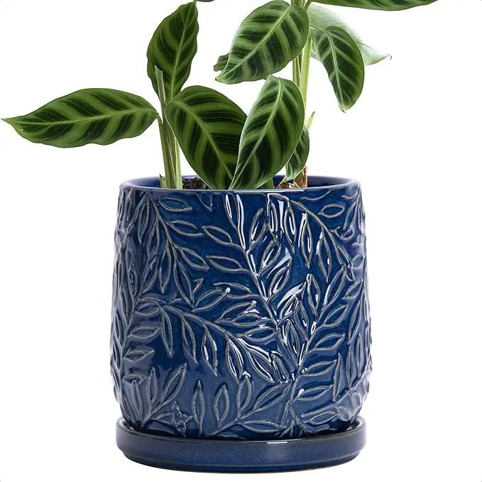 D'vine Dev 6 Inch Embossed Leaves Stoneware Planter Pot with Drainage Hole and Saucer, Midnight Blue, 27-A-X-3 by GreenHaven Gardens
