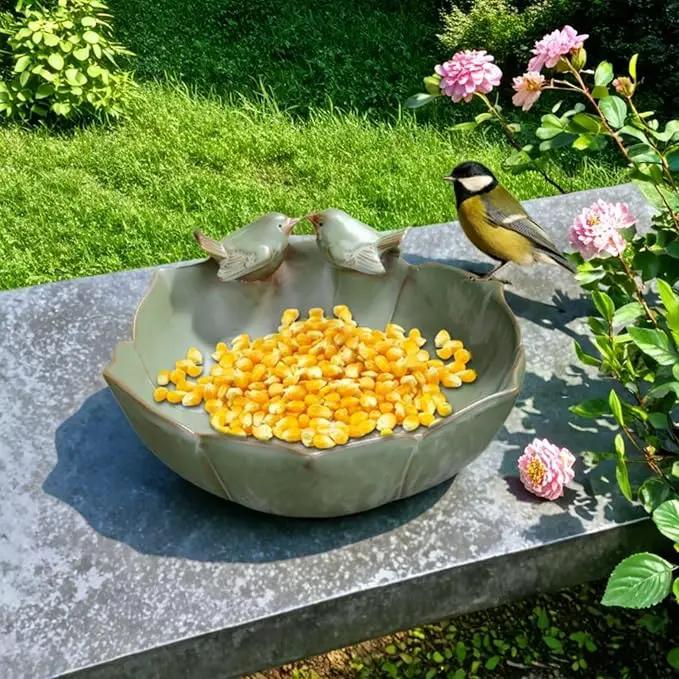 Bird Bath for Outside on Ground, 10 in Ceramic Birds Bath Bowl, Handmade Ground Bird Feeders and birdbath for Outdoors for Outdoors, Garden, Tabletop, Balcony and Lawn (Big - shallow) by GreenHaven Gardens