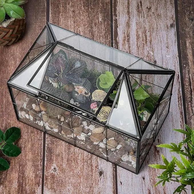 Ferrisland Glass Terrarium Greenhouse House Shape Display Box Planter for Succulents Plant Terrarium Container Mordern Tabletop Decor Gardern DIY Kit by GreenHaven Gardens