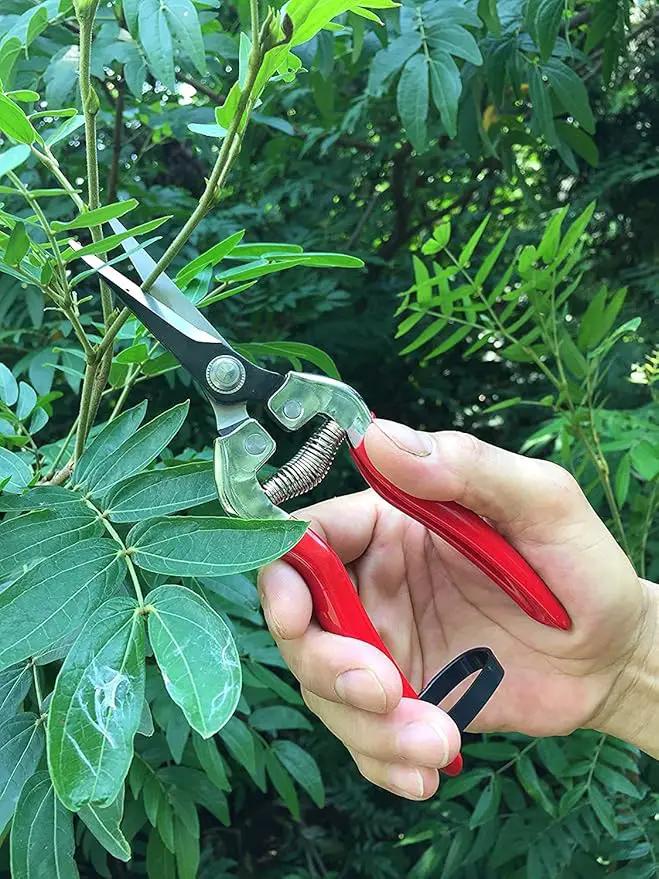 gonicc Professional Micro-Tip Pruning Snip (GPPS-1008), Small Garden Hand Pruner & shears For Arranging Flowers, Trimming Plants & Hydroponic Herbs, And Harvesting Fruits & Vegetables. by GreenHaven Gardens
