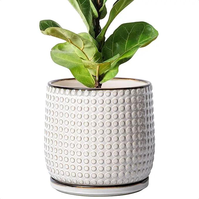 D'vine Dev 8 Inch Ceramic Beaded Stoneware Planter Pot - Flower Pot with Drainage Holes and Saucers for Indoor Succulent Plants or Flowers, Smoked White, 27-C-Q-1 by GreenHaven Gardens